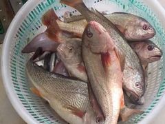 -宏源鑫海鲜餐厅·海景婚宴厅(石老人店)