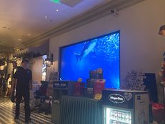 -开海·红岛海鲜虾水饺(石老人店)