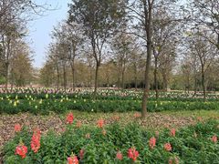 -天适樱花悠乐园