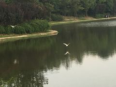 -美兰湖景区