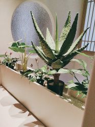 -悦润荟美容抗衰中心