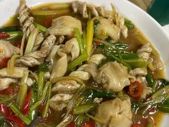 鱼泡烧芹菜-黄记饮食店·潮汕家常菜(丹霞庄中区店)