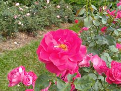 -人民公园(罗湖区)