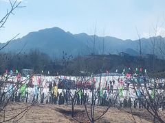 -乌素图国家森林公园