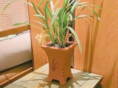 -南堂小馆·川菜馆(德商国际店)