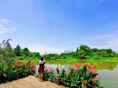 -桤木河湿地公园