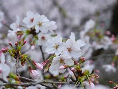 -江南大学(蠡湖校区)