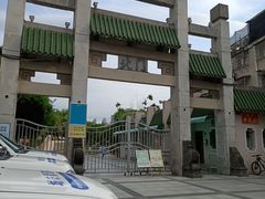 -溪岸路花鸟市场