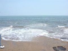 -金沙滩海水浴场(万平口景区4号门扬帆广场店)