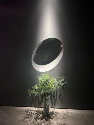 点击看大图 -美壹生皮肤管理中心