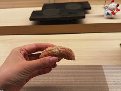-焘