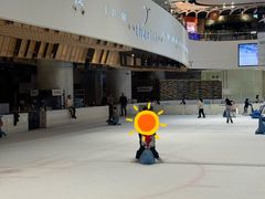 -TheRink大零溜冰场(IFS国金中心店)