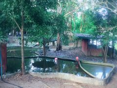 -清迈夜间动物园