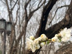 -玲珑塔公园