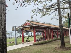 -顺峰山公园