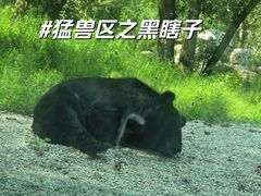 -北京野生动物园