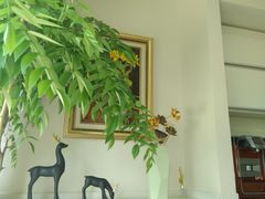 -精德口腔·种植修复·儿牙中心(财富中心店)