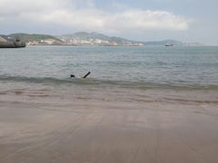 -枸杞岛