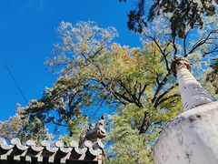 -潭柘寺景区