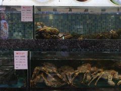 -宝燕壹号(徐汇店)