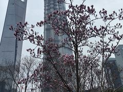 -陆家嘴中心绿地