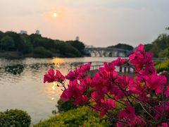 -厦门园林博览苑
