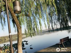 -西湖外事游船(花港观鱼码头)