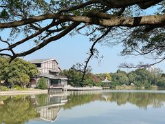-江心屿景区