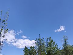 -云岗森林公园