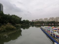 -南翔镇银翔湖公园