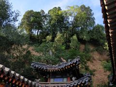-兴教寺