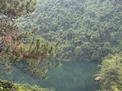 -鼎湖山风景区