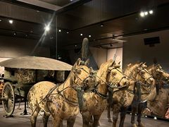 -秦始皇帝陵博物院-丽山园