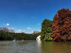 -上海海湾国家森林公园