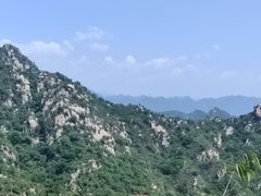 -大岭沟猕猴桃谷风景区