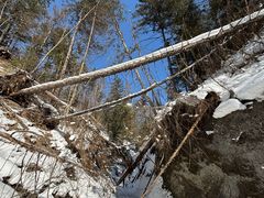 -峡谷浮石林景区