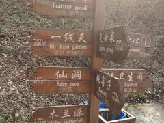 -天女山森林公园