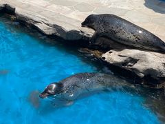 -华夏文旅海洋公园