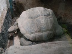 -太原动物园