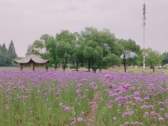 -杭州城北体育公园