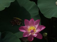 -南翠屏公园