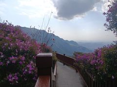 -广州市石门国家森林公园
