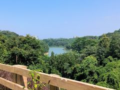 -阳台山森林公园