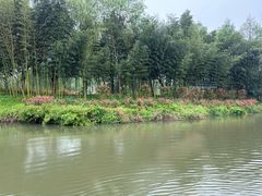 -白塔湖国家湿地公园