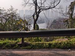-重庆彩云湖湿地公园