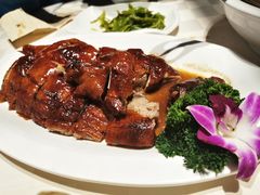 -九尊食上(生态园林酒店)