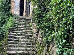 -杨家堂村