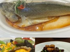 -唐山宴大唐州府精品中餐