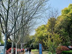 -天鹅湖体育公园