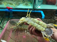 -班赞海鲜市场